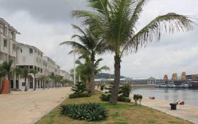 Dự án đầu tư xây dựng kinh doanh HTKT- Khu đô thị Cảng Ngọc Châu